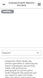 Mobile Screenshot of goldenviewphotostudio.com